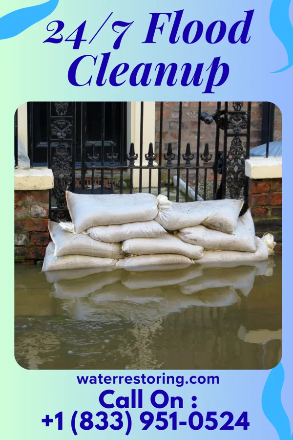 24/7 Flood Cleanup in Homestead Meadows North, TX