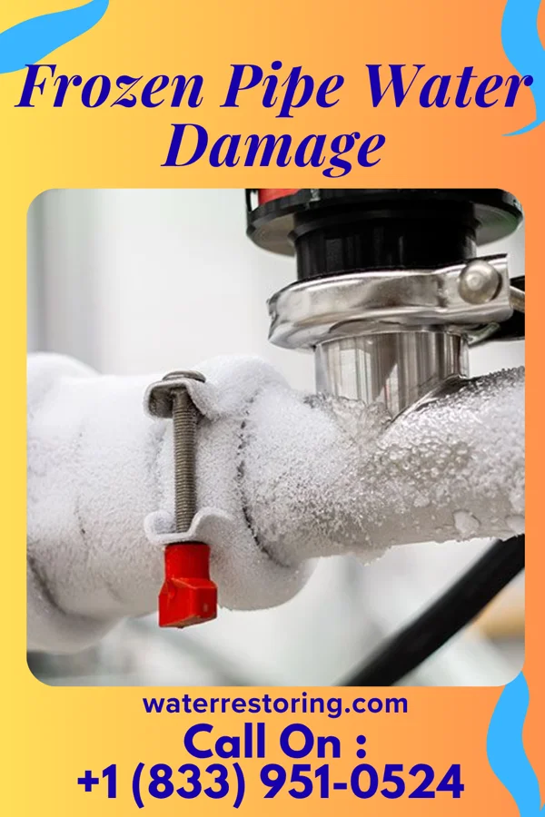 Frozen Pipe Water Damage in Homestead Meadows North, TX