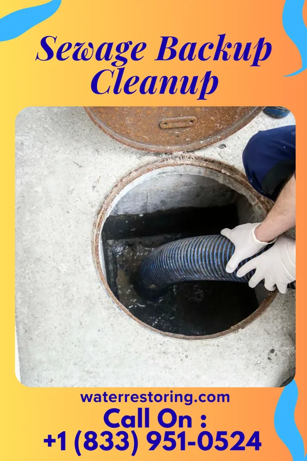 Sewage Backup Cleanup in Homestead Meadows North, TX