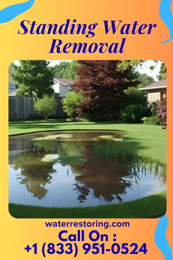 Standing Water Removal in Homestead Meadows North, TX
